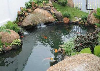 Bài trí hồ nước trong sân vườn để sinh tài lộc