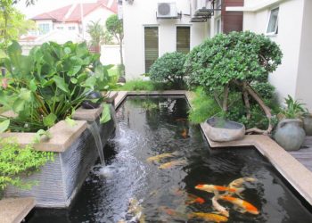 Cách xây hồ cá trước nhà hợp phong thủy