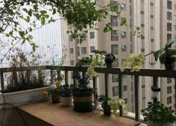 Nguyên tắc thiết kế ban công chung cư đẹp an toàn