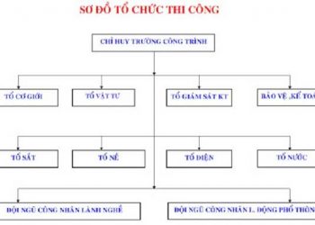 Hình ảnh tổ chức nguồn nhân lực trong thi công